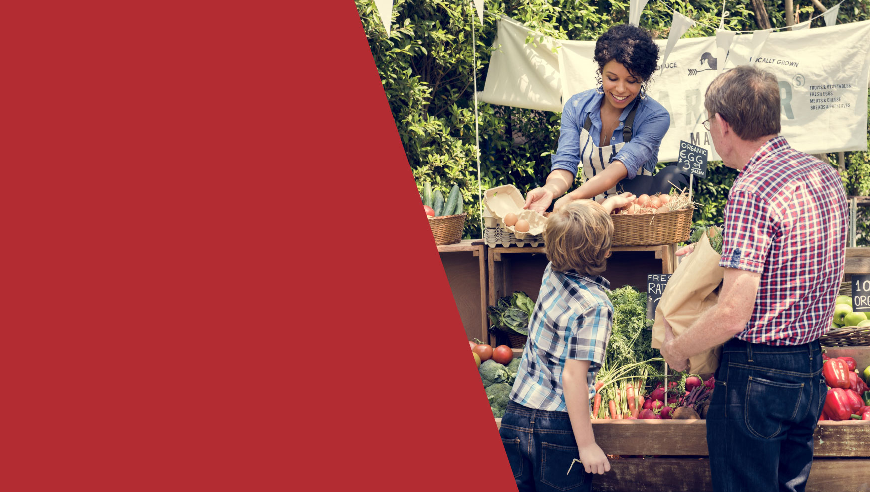 Family fun farm tours!